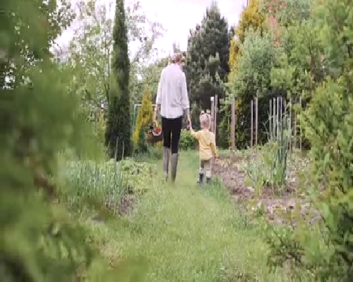 <b>长沙助孕混血儿,长沙花10万做三代试管能包生男孩可信吗?</b>