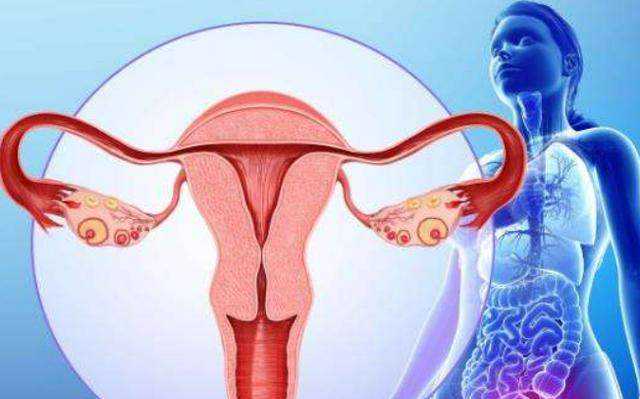 <b>50岁高龄做试管婴儿为什么成功率低？</b>