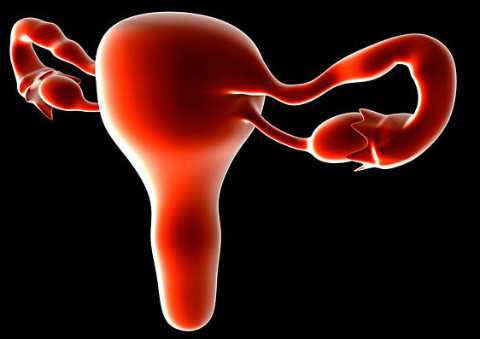 <b>长沙辅助生育机构_长沙借肚生子,长沙第三代试管技术比较好的医院排名前十</b>