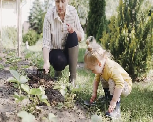 <b>长沙哪个医院做试管婴儿比较好</b>